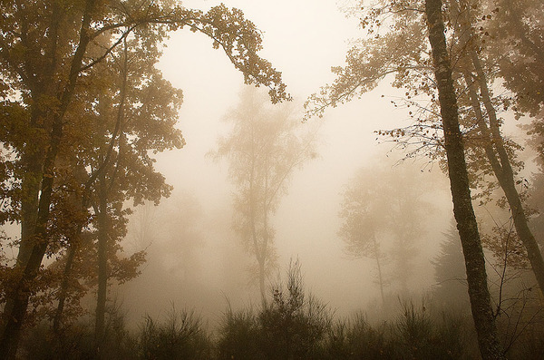 Autumn mood 9_23960034{M}.jpg